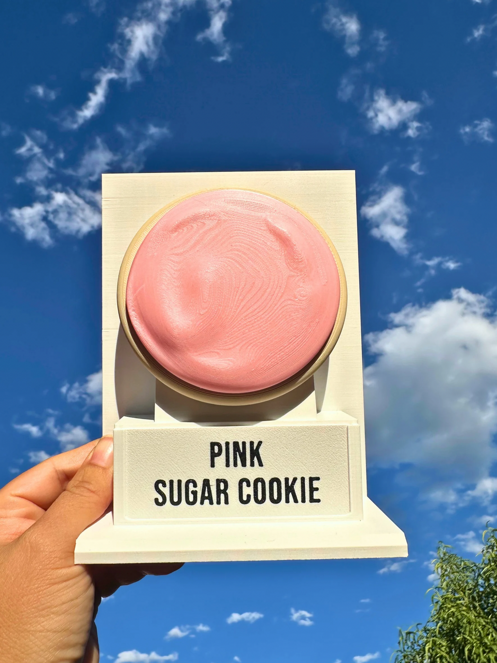 Fake Pops Cookie
