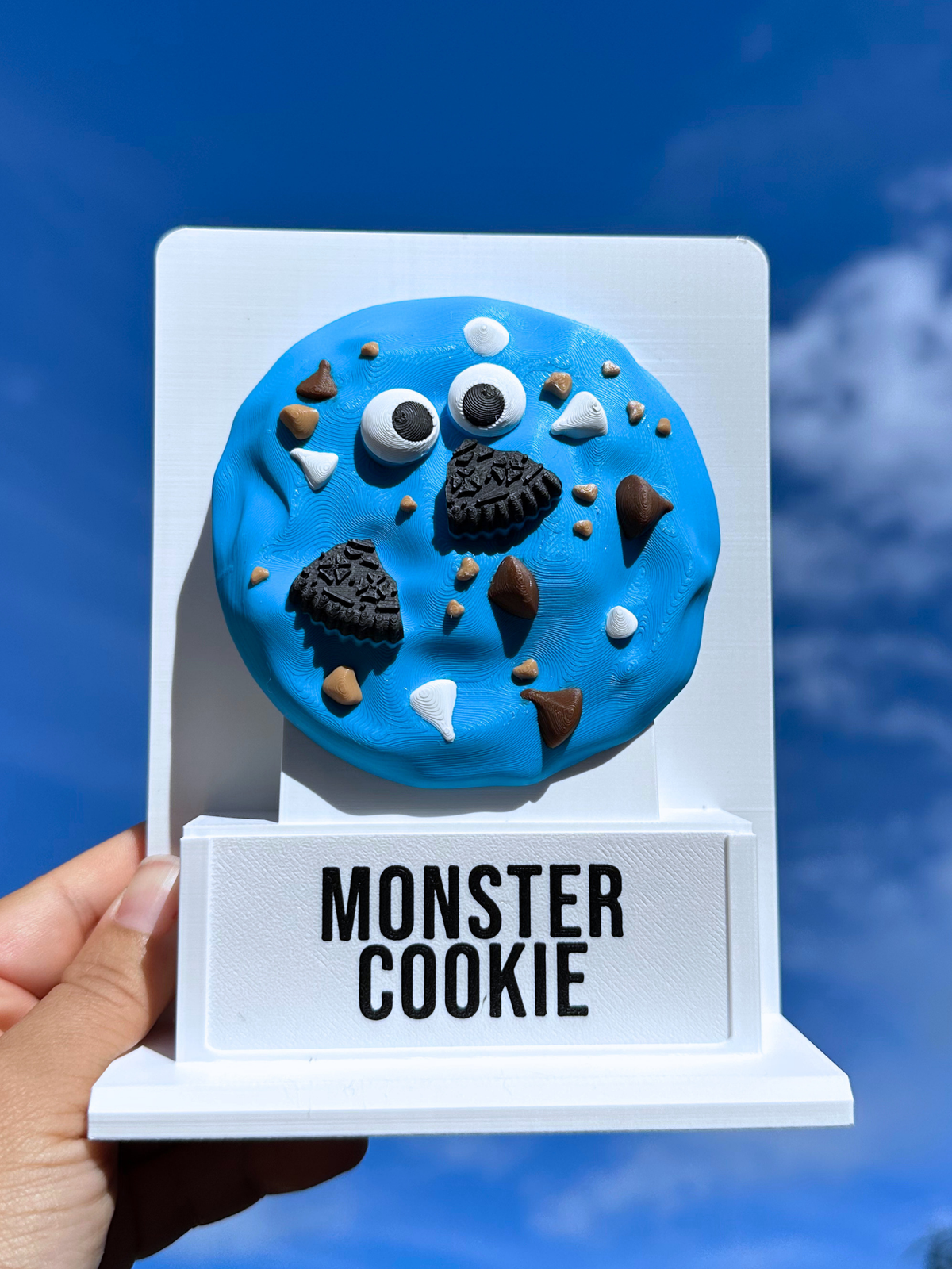 Fake Pops Chunk Cookie