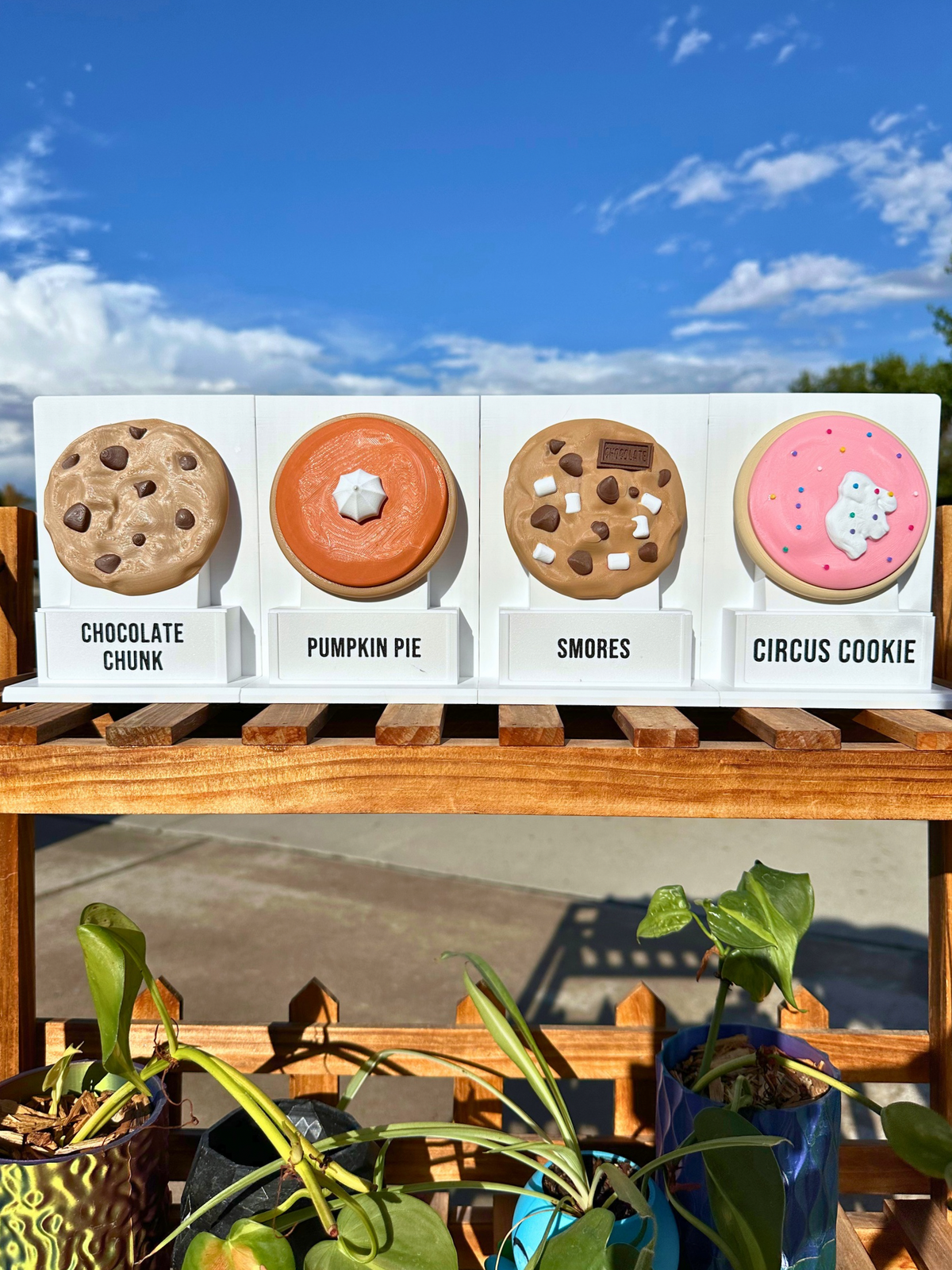Fake Pops Cookie Board