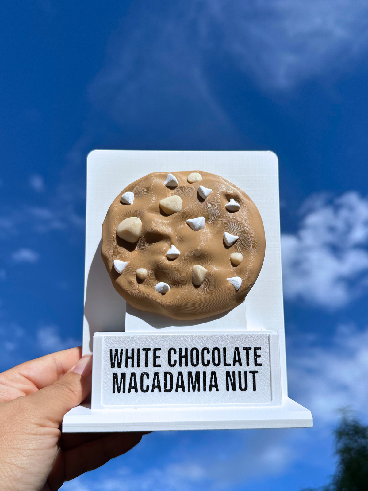 Fake Pops Chunk Cookie