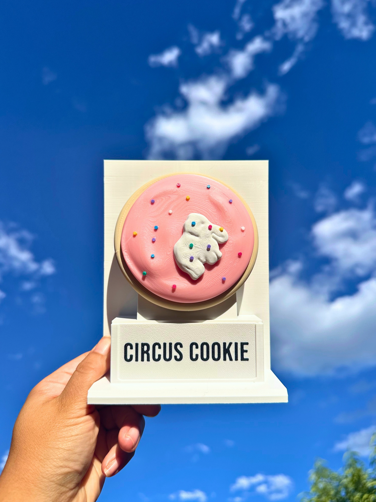 Fake Pops Cookie