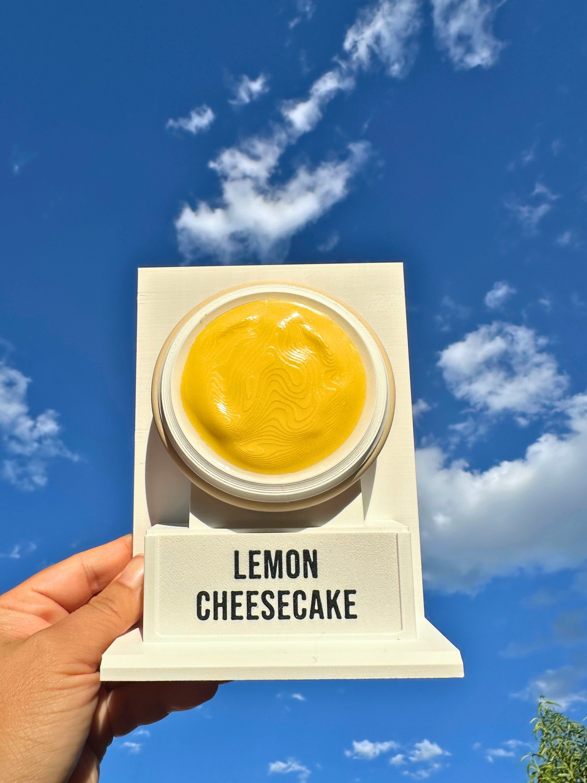 Fake Pops Cookie