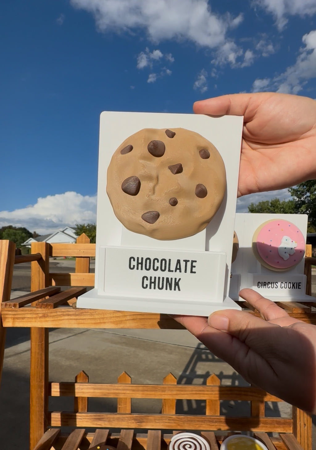 Customized Fake Pops Cookie