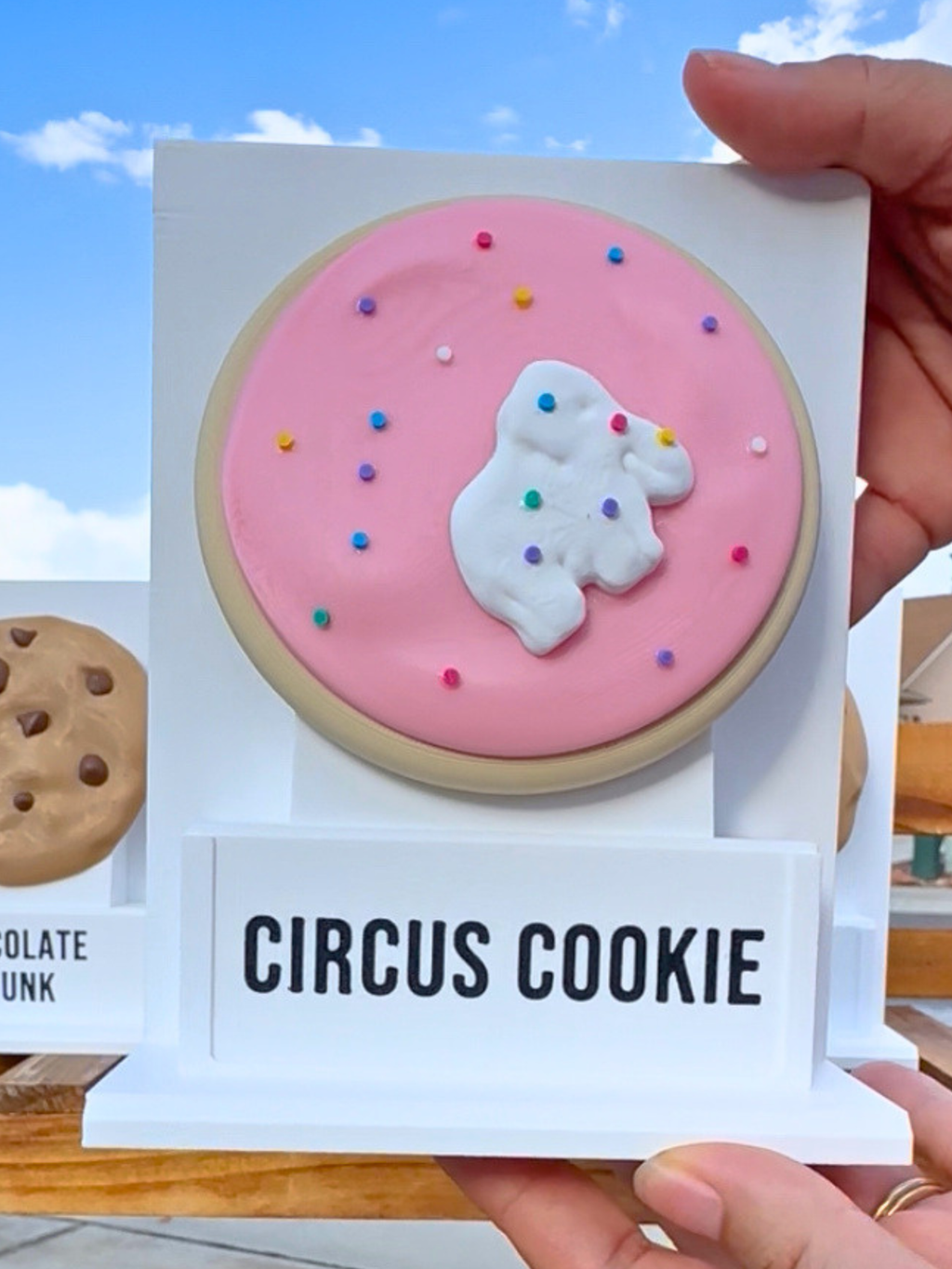 Fake Pops Cookie