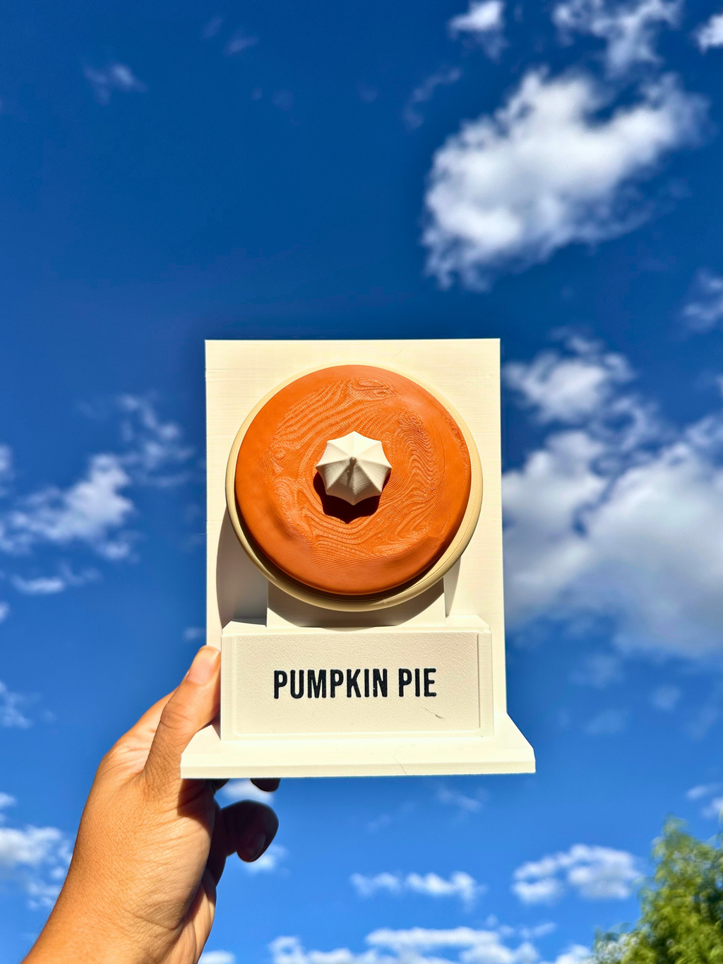 Fake Pops Cookie